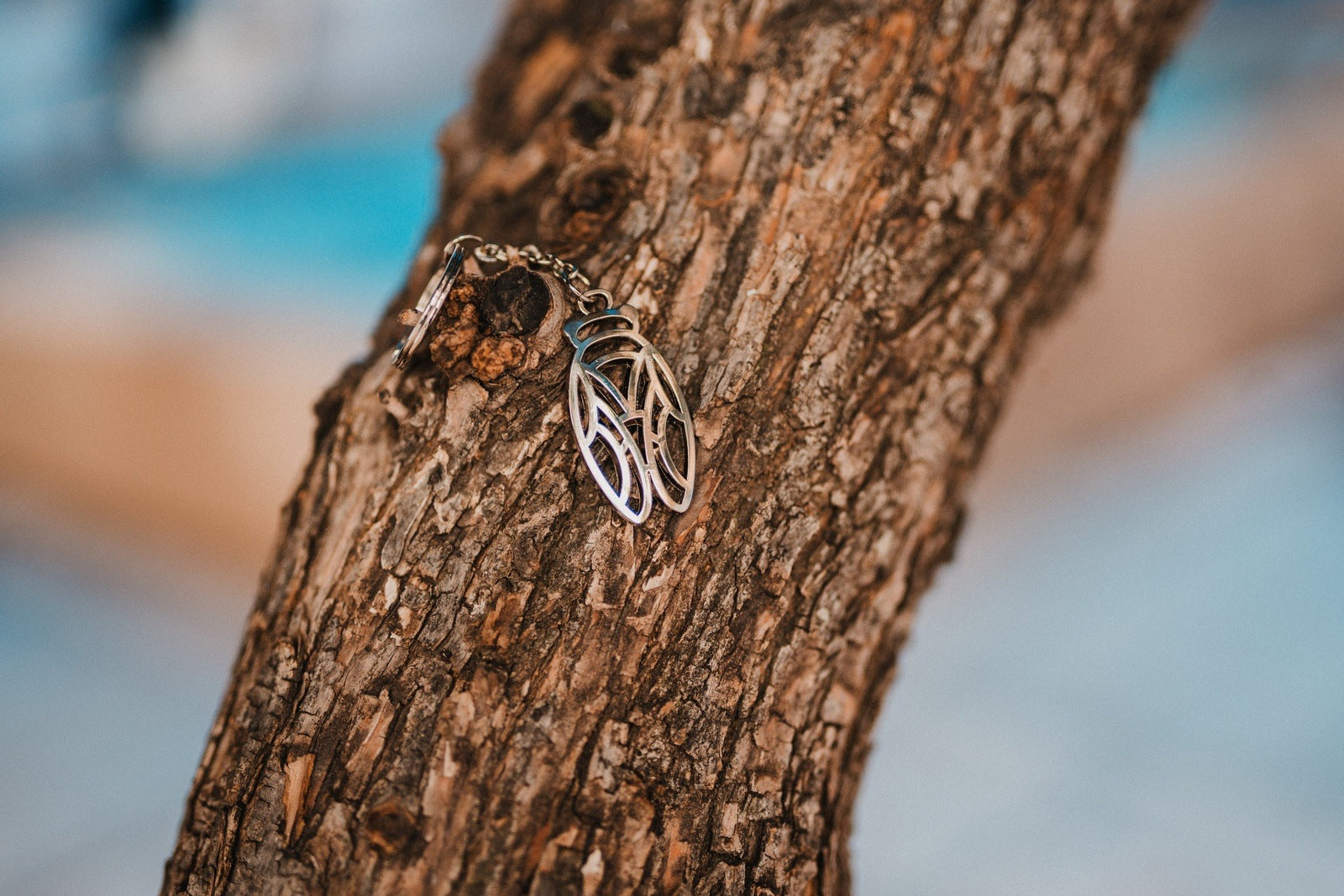 Image of Tous les accessoires