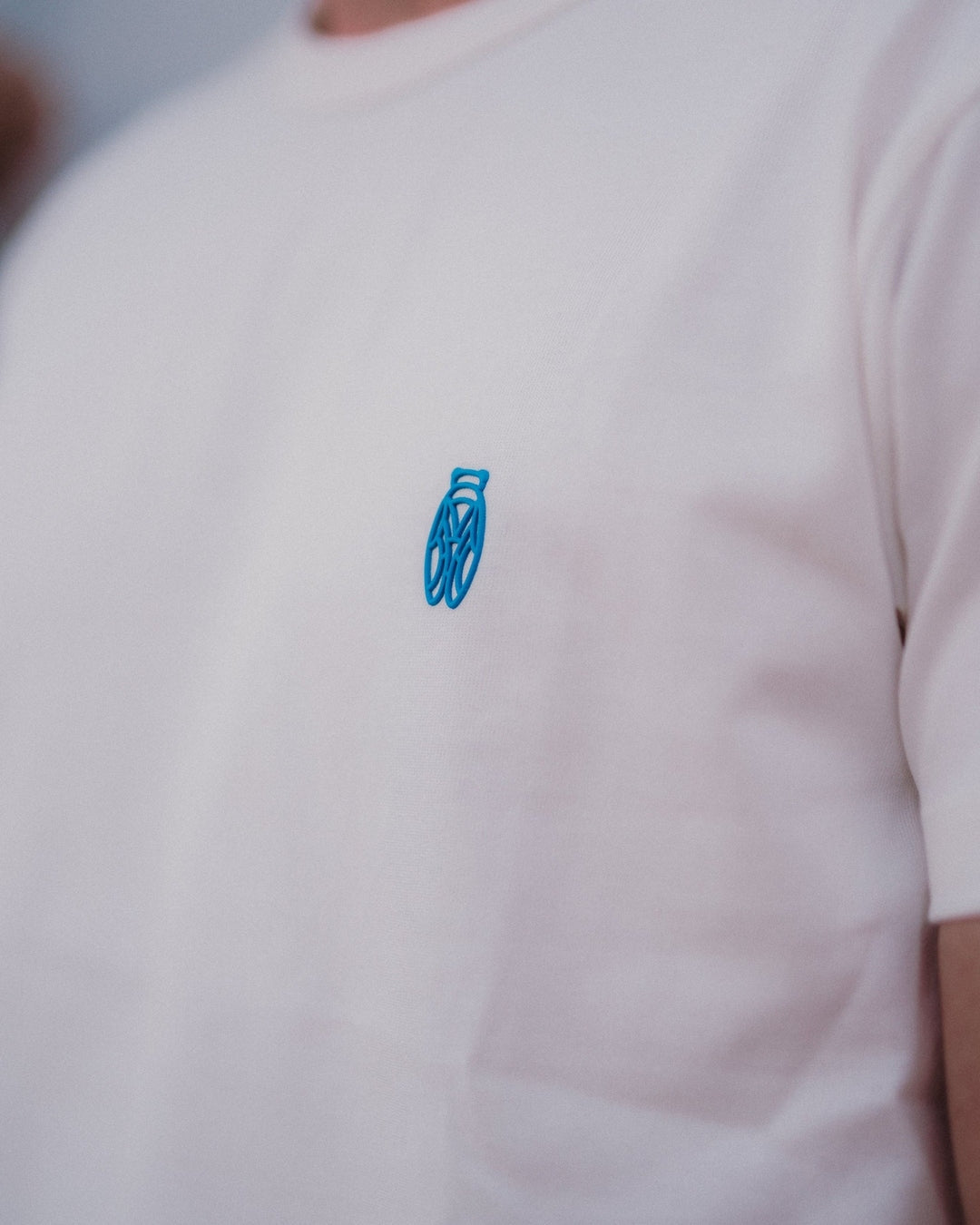 Image of Collection Cigale