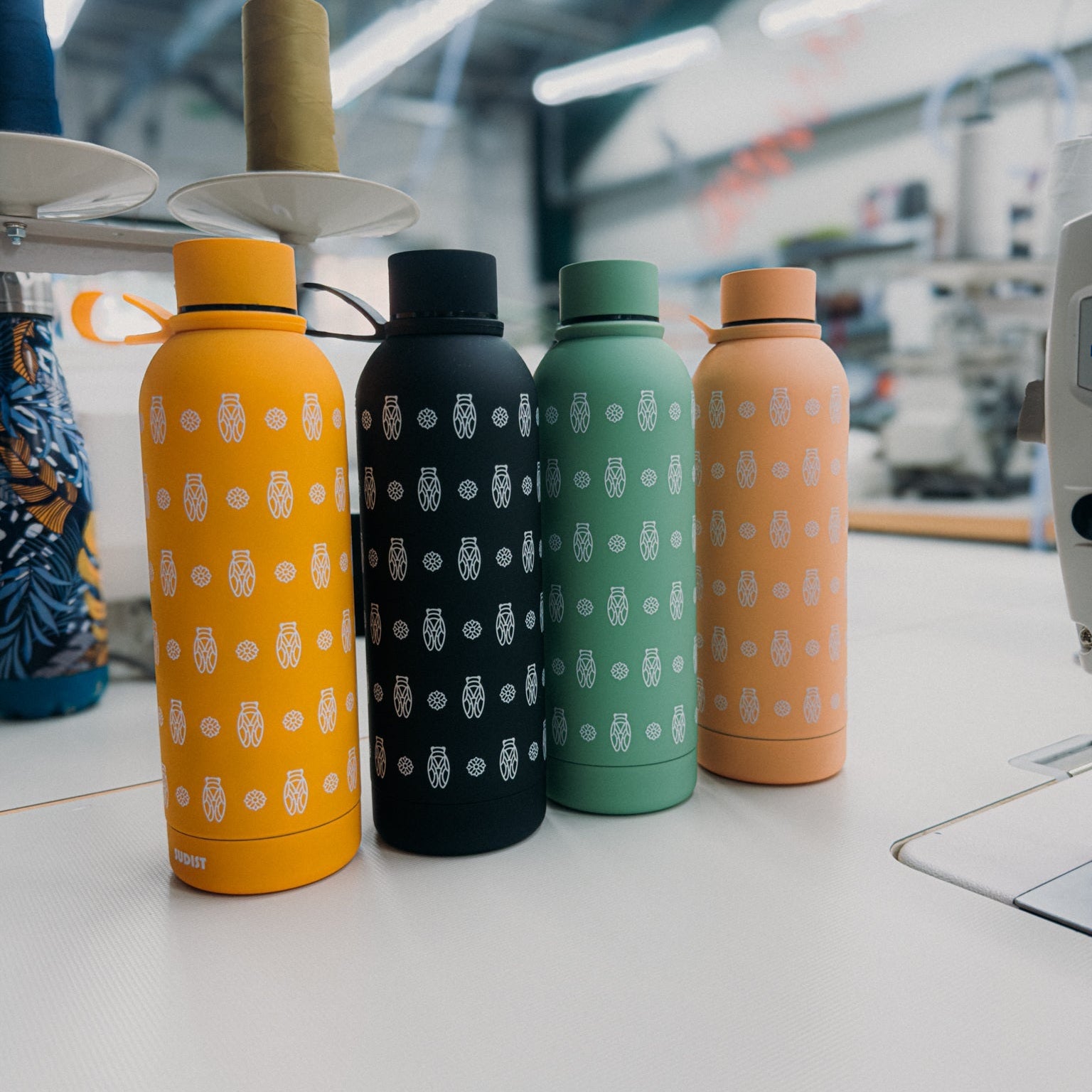 Image of Gourde inox isotherme Cigale