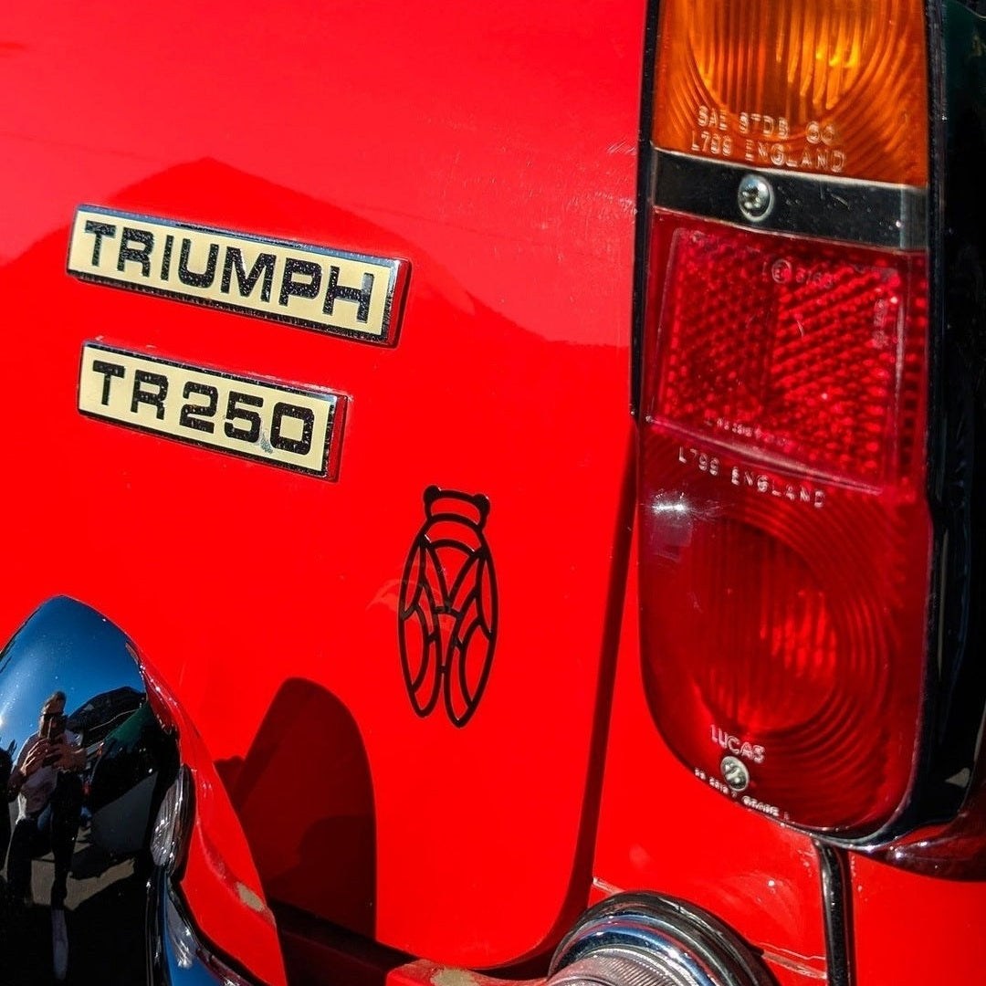 Image of 4 X Stickers Cigale Fabriqué en Provence - Sudist