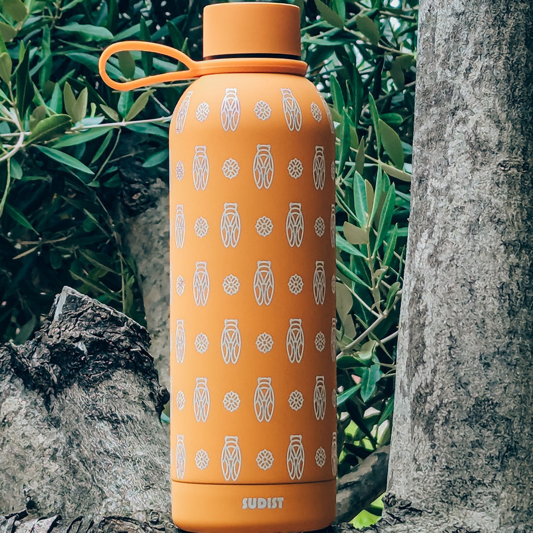 Image of Gourde inox isotherme Cigale - Fabriqué en Provence - Sudist